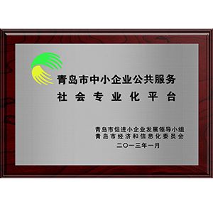 青島市中小企業(yè)公共服務(wù)社會(huì)專業(yè)化平臺